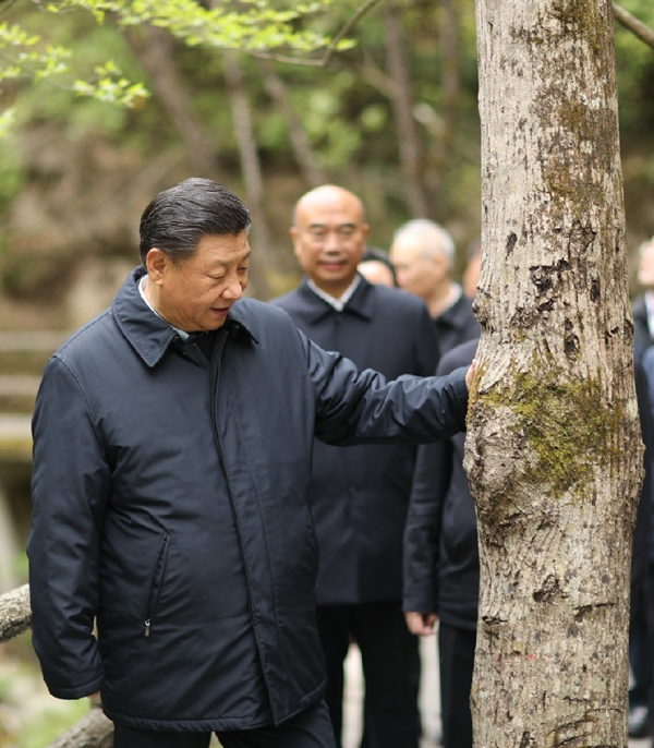 习近平最近三次地方考察，这个主题贯穿始终西宁防洪评价