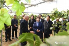 内蒙古自治区主席：全力做好大气污染联防联控联治工作 确保“蓝天保卫战”圆满收官青海水土保持代办公司