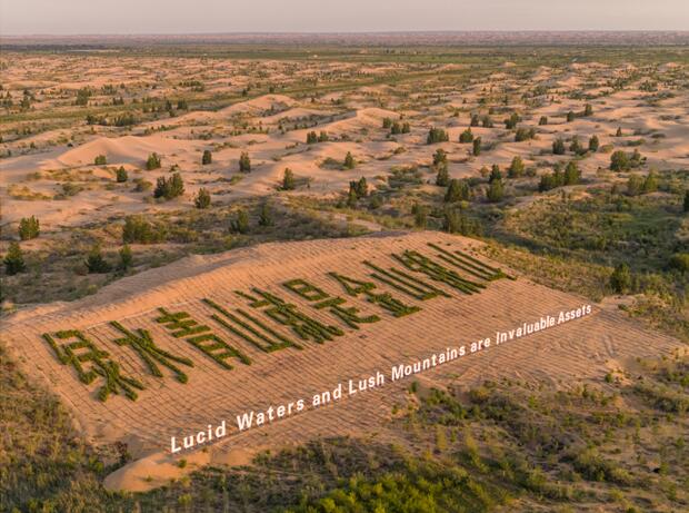库布其植树节将举行“治沙碳中和 保护母亲河 ”纪念活动西宁水土保持代办公司