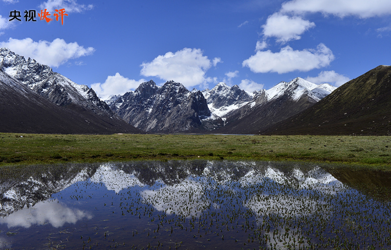 牢记“国之大者”，在推进青藏高原生态保护和高质量发展上取得新成就西宁环保公司