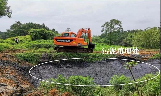 以土壤改良之名非法填埋 四川遂宁污泥处置监管严重缺失西宁防洪评价